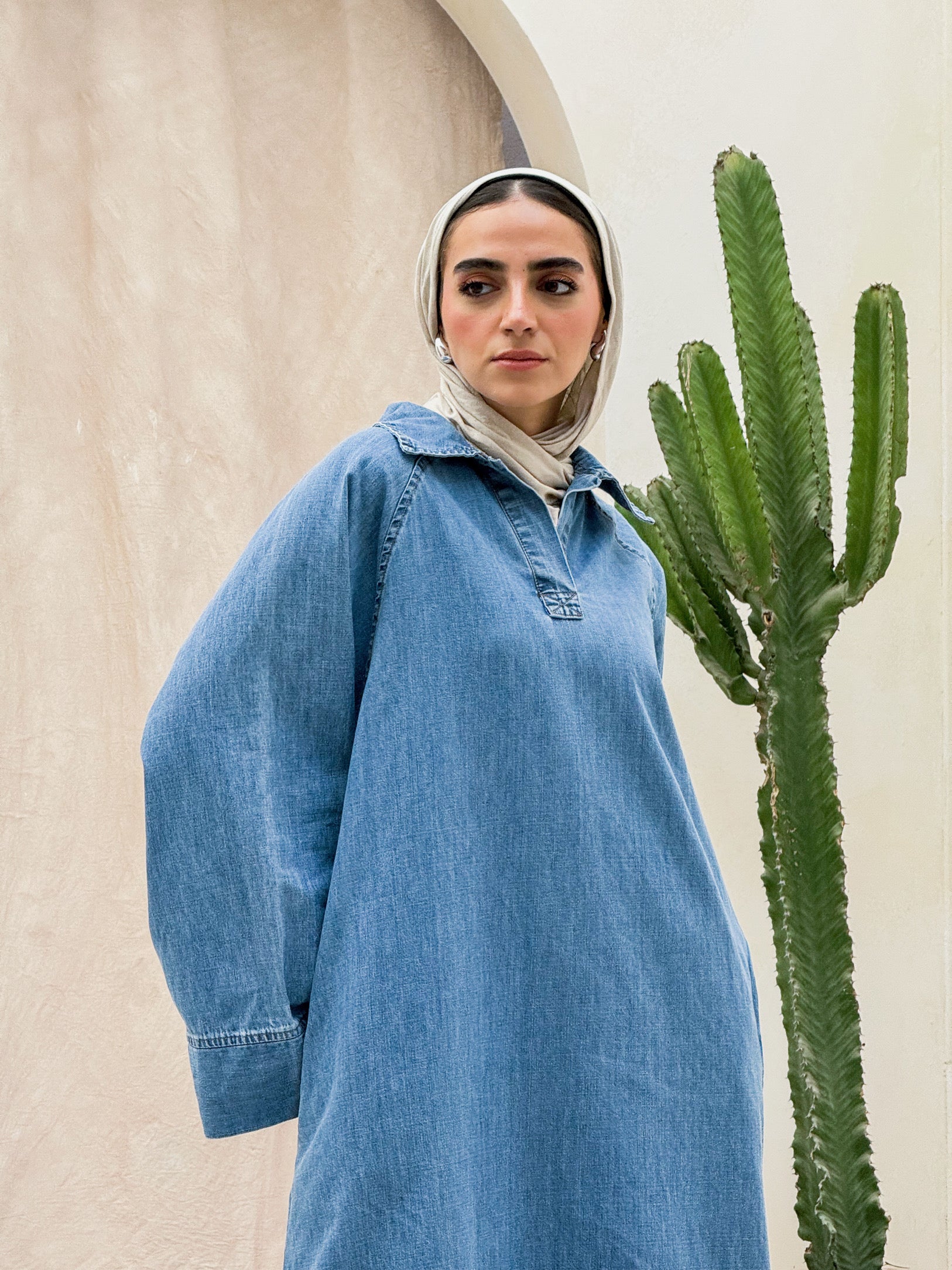 Everyday Denim Dress - Light Wash