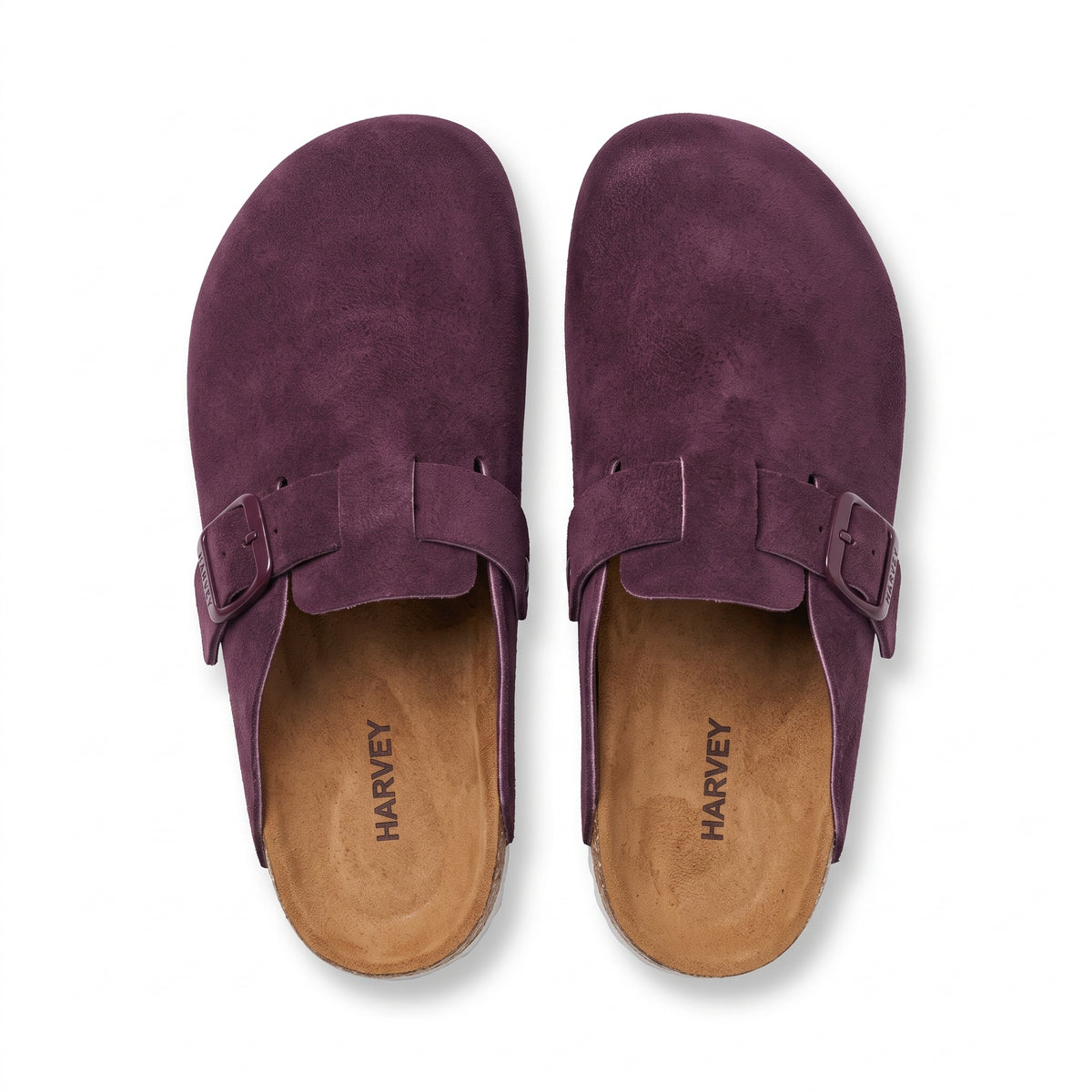 PURPLE - CLOGGA
